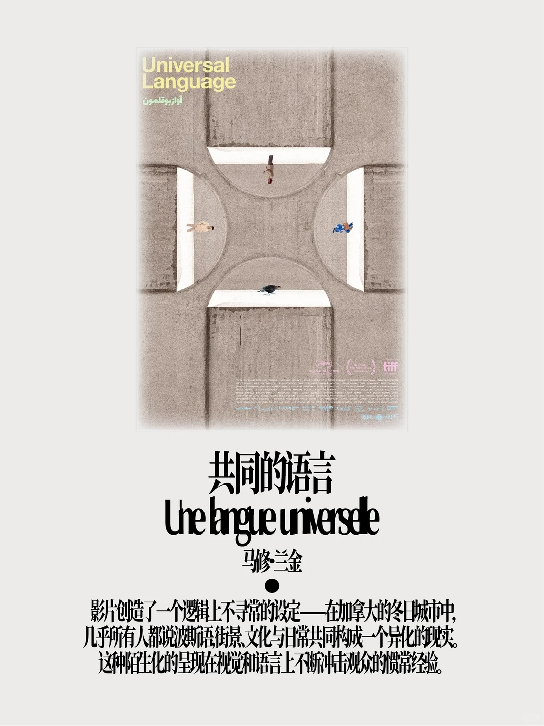 如果2025年只能看20部电影……