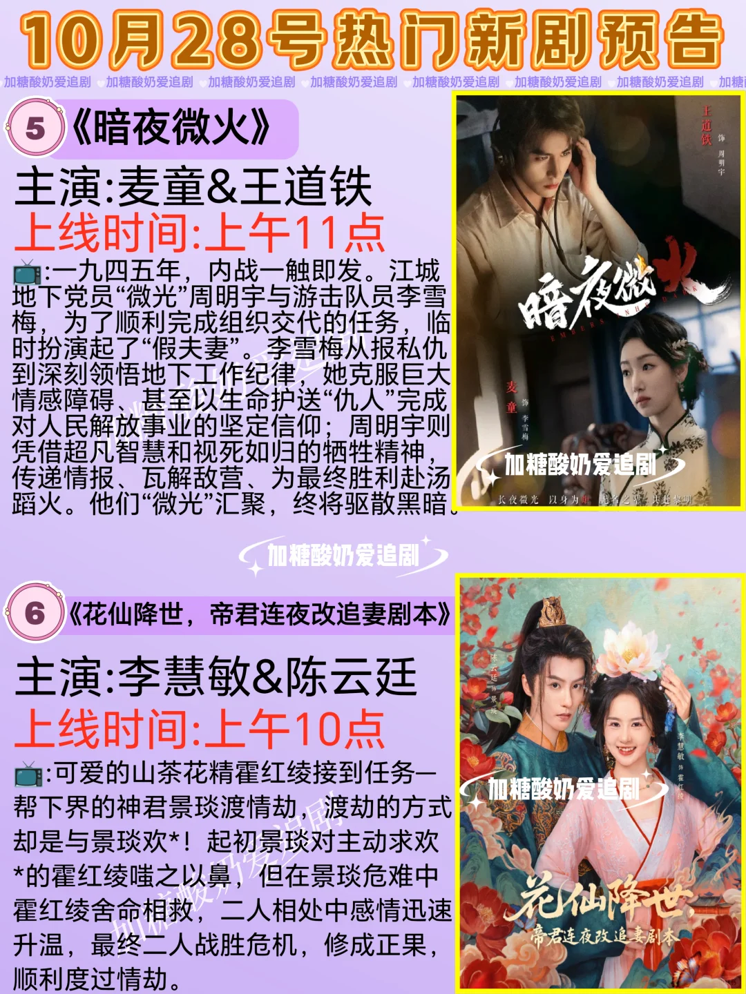 天花板短剧💥10月28日热门短剧预告