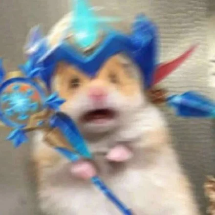 大学生花了10W居然做了这些事！