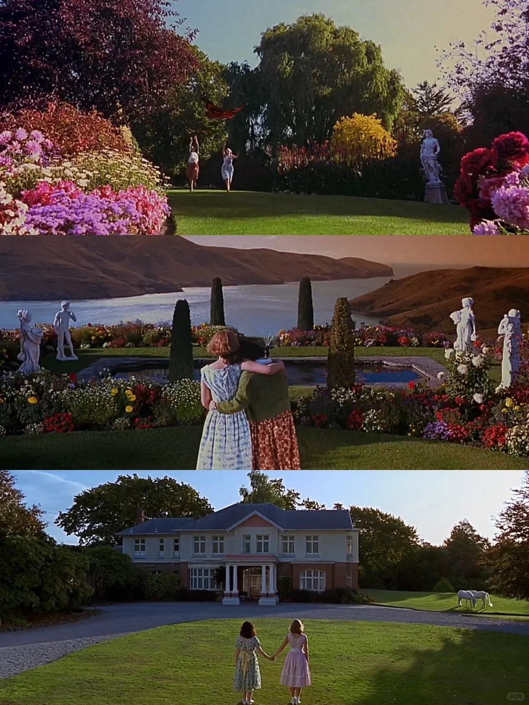 🎥冷门少女电影|偏执幻想与现实暴烈罪孽