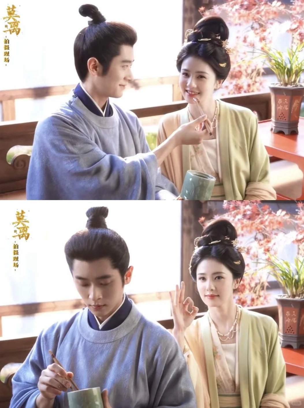 新剧热播，妈呀！简直杀疯了🔥