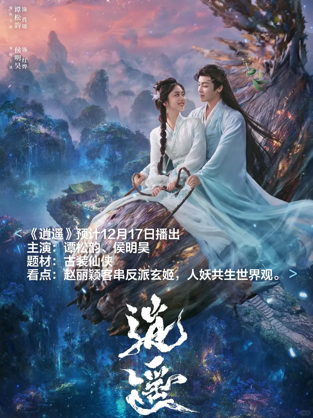 🎬2025十二月各大平台热播剧和待播剧