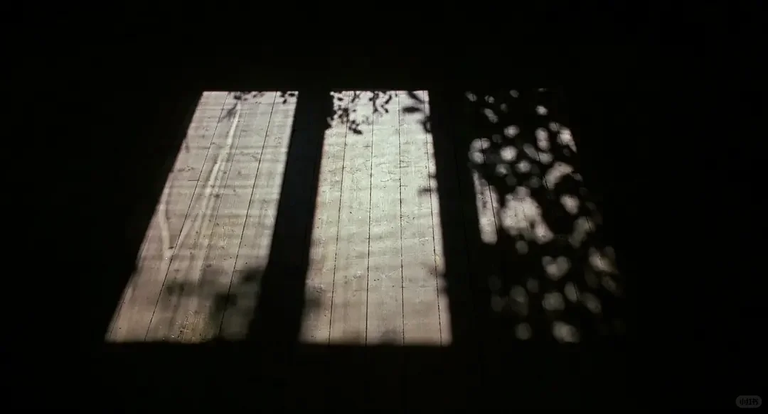 同一个导演的两部神作｜好爱这部电影❗️❗️