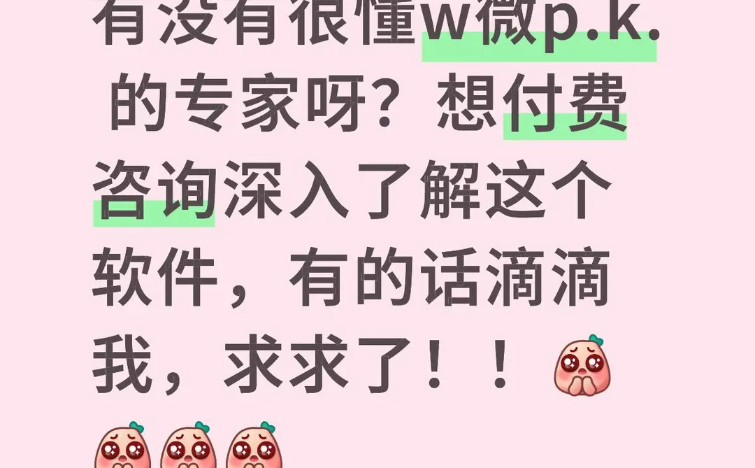 w.微pk付费咨询