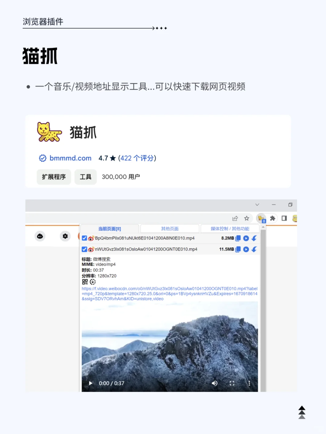 设计师必备的10个Chrome浏览器插件🔥