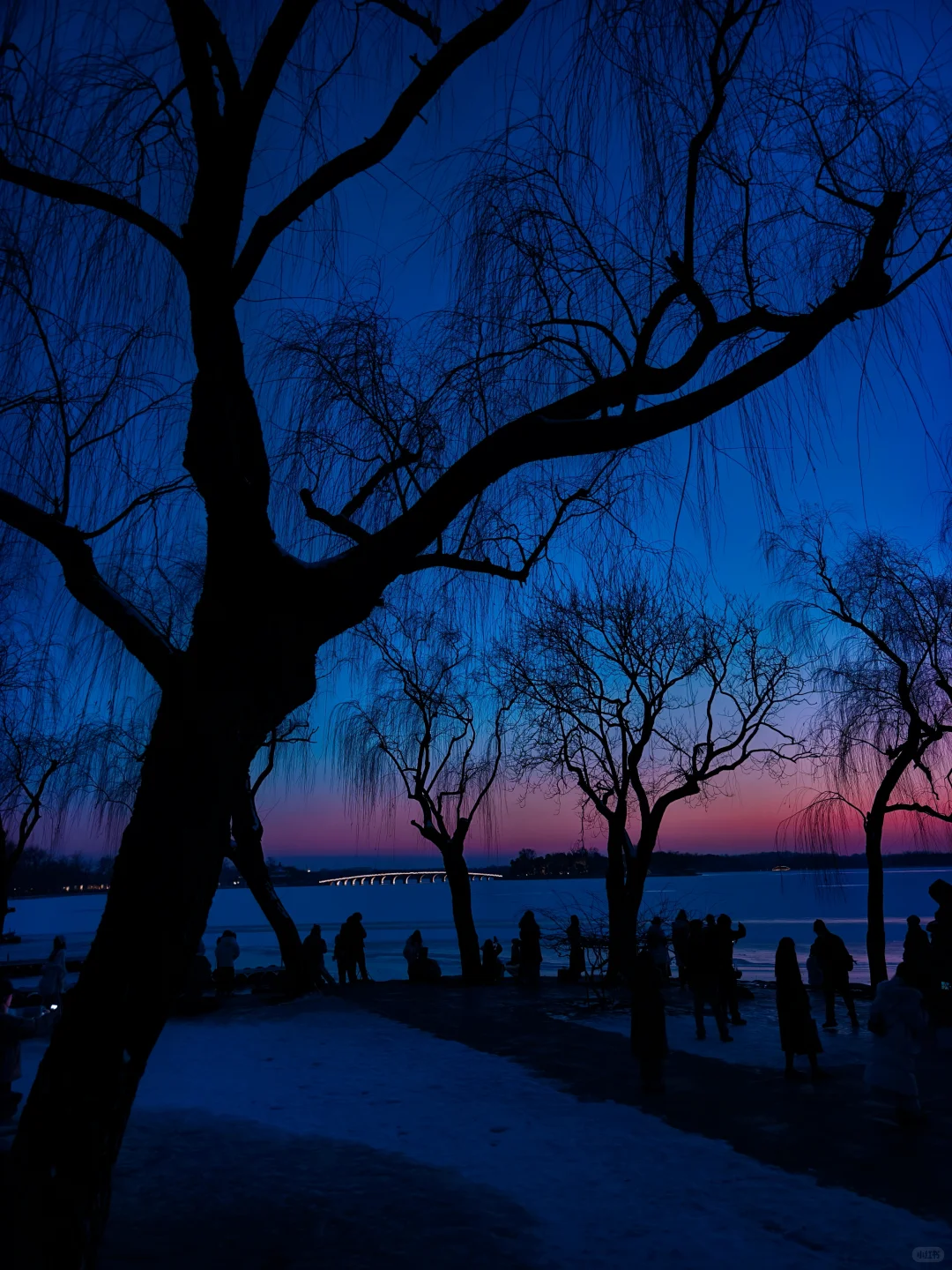 冬日颐和园蓝调时刻,是昼与夜最诗意的过渡