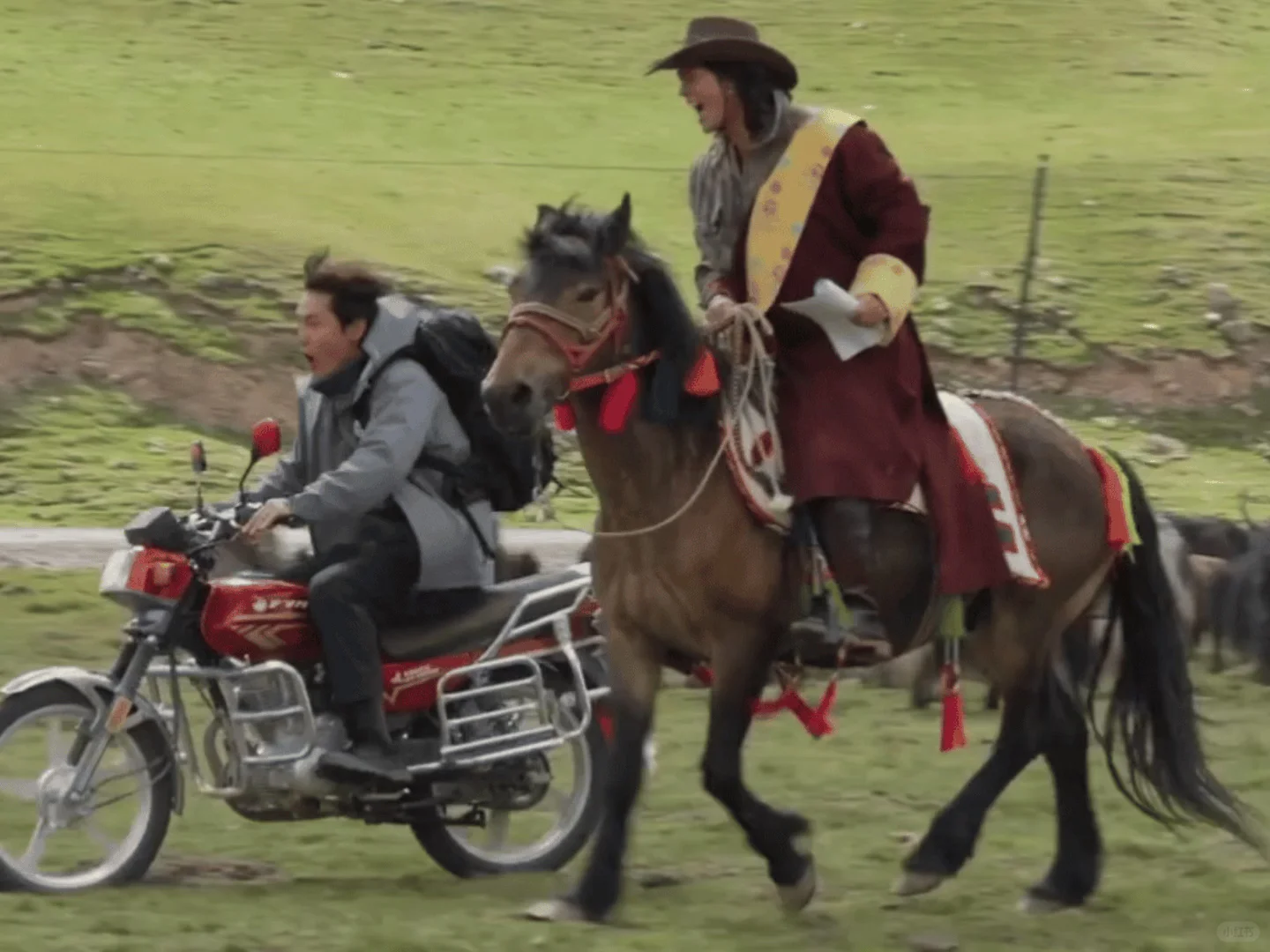 爱上一个藏族人 就会爱上草原雪山 爱上一切