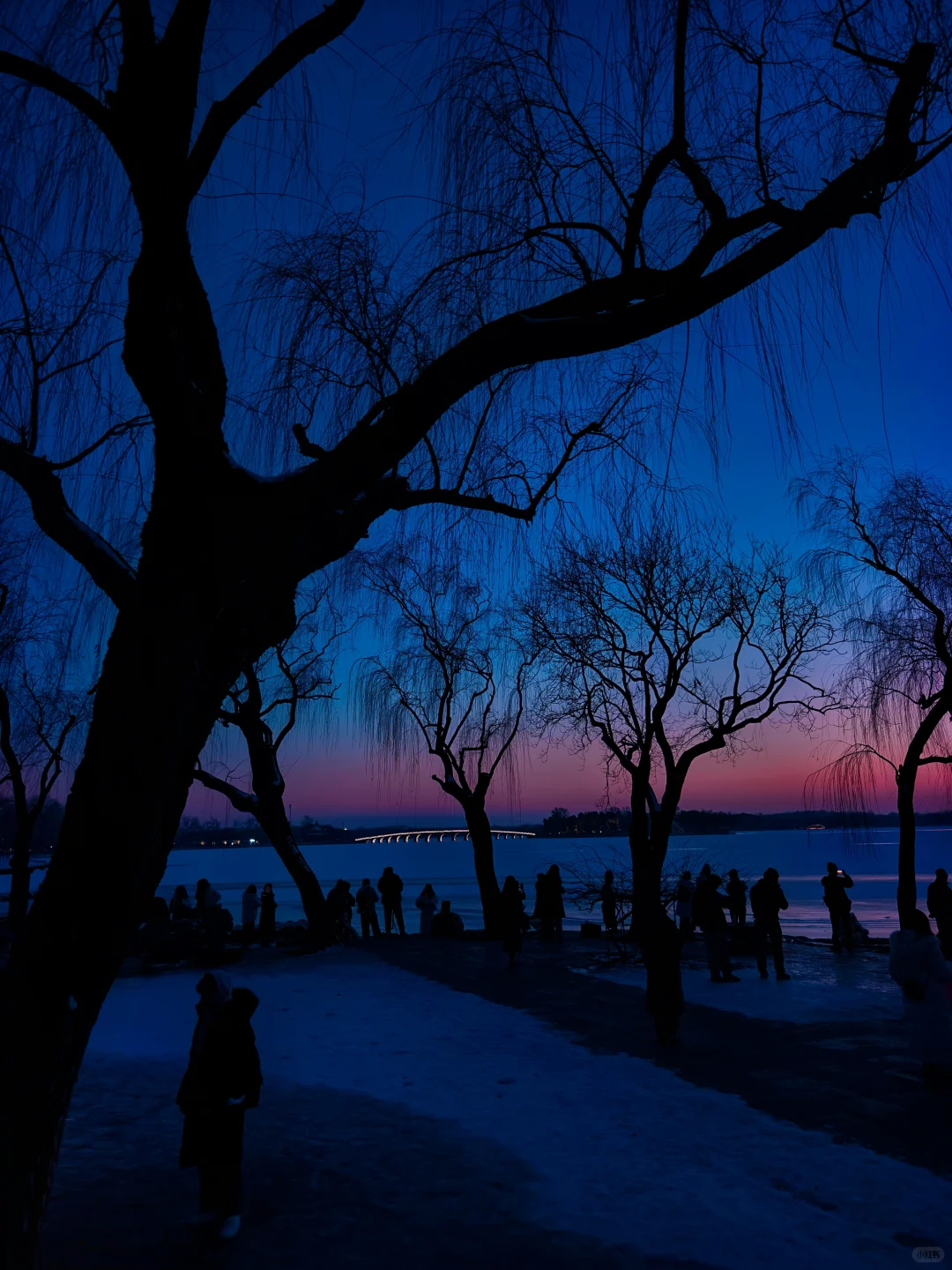 冬日颐和园蓝调时刻,是昼与夜最诗意的过渡