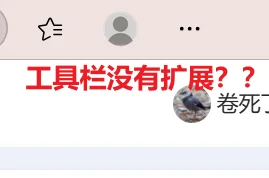 插件无法正常显示，无法正常使用插件？？