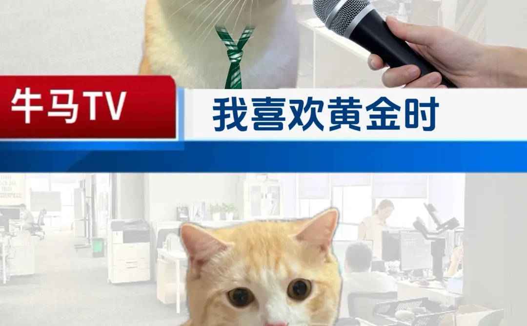 8090如履薄冰的一生