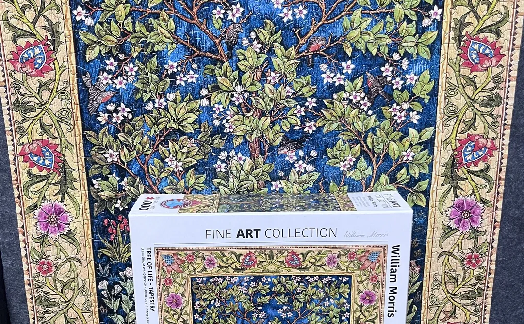 玖拾陆 没想到是异形😊