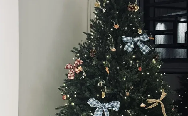 属于我的小圣诞树🎄