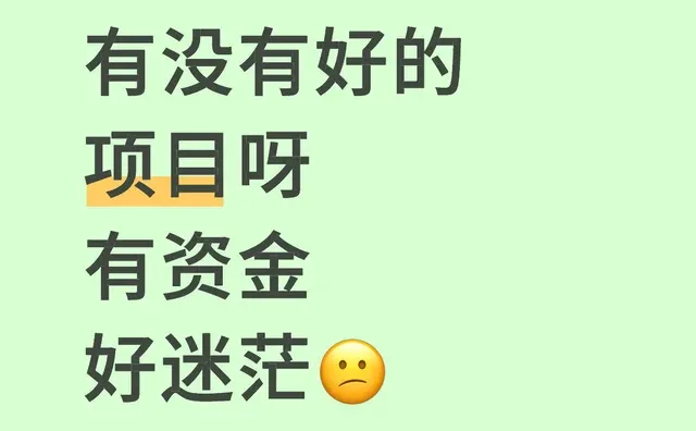 有没有好的项目呀 有资金