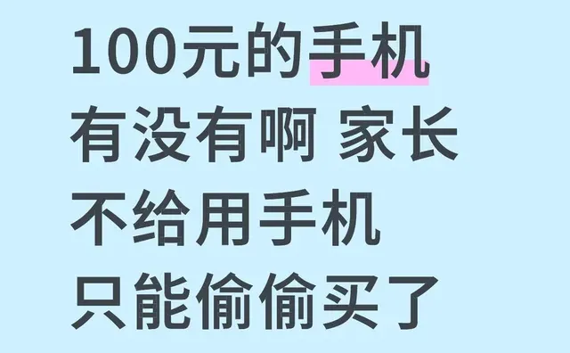 300以内都行，像素能看的过去，不要太差的都可以，苹果的话，需要能够正常使用微信-夜雨聆风