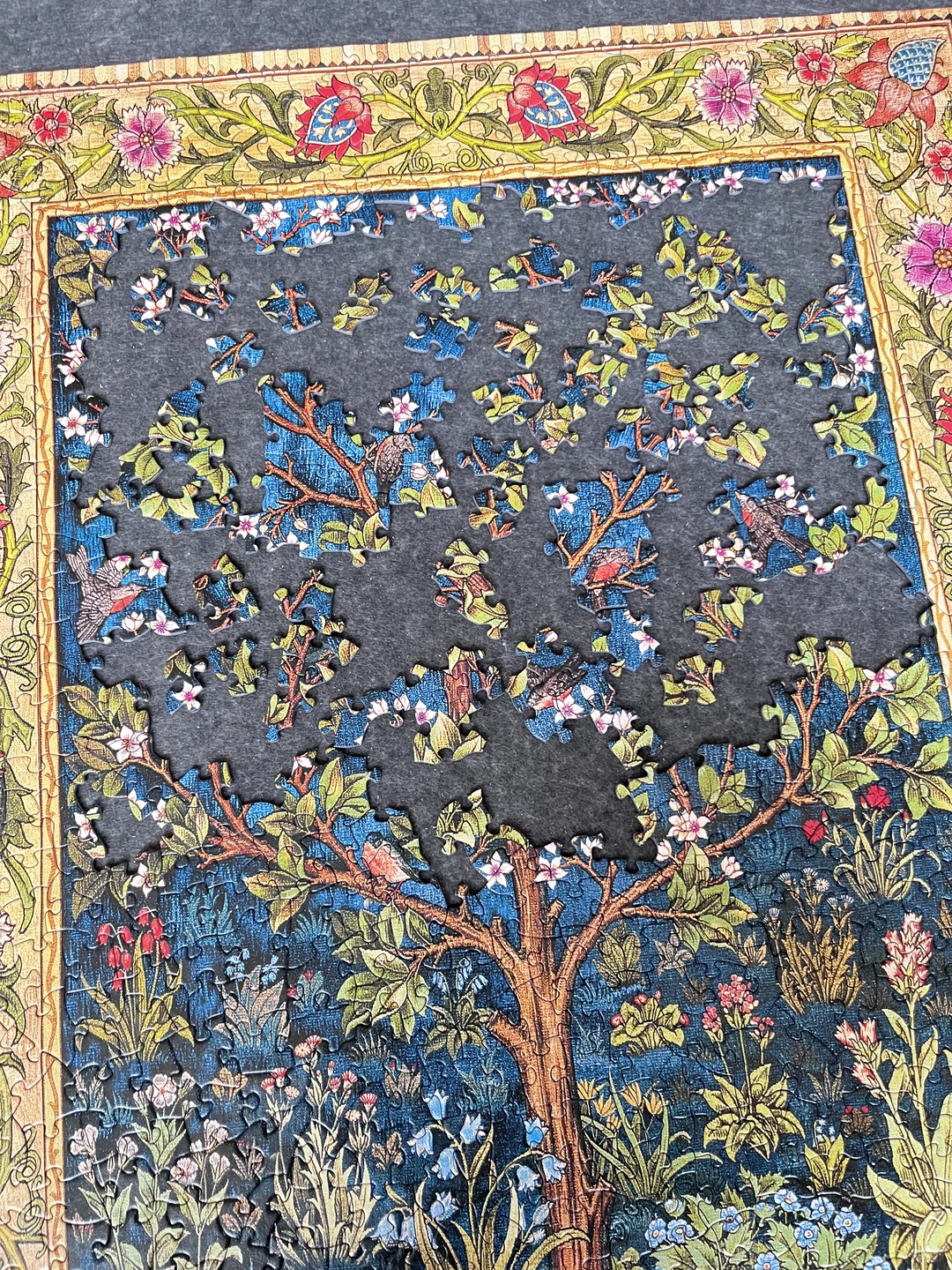 玖拾陆 没想到是异形😊