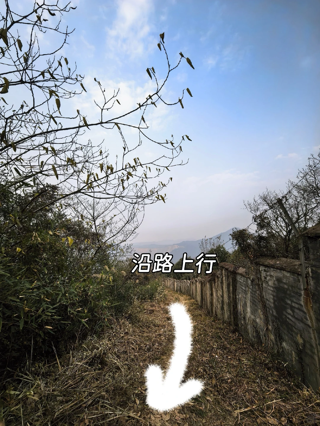 杭州周末带狗徒步—半山小环线