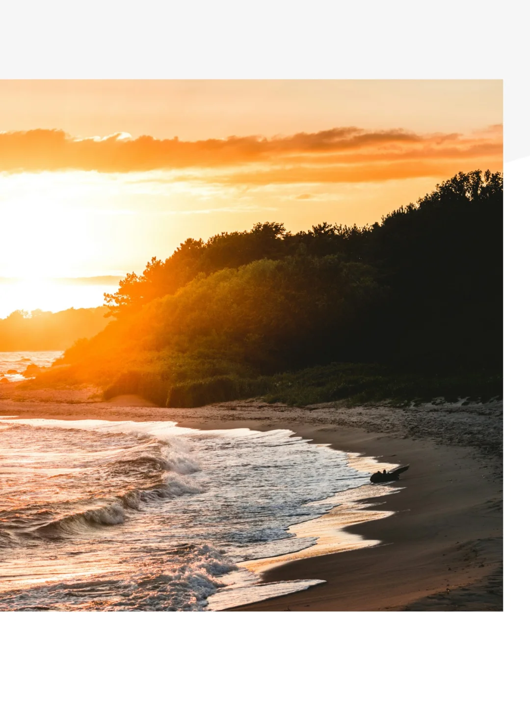 没等到图卷安卓版的宝子可以来试试画卷🤓