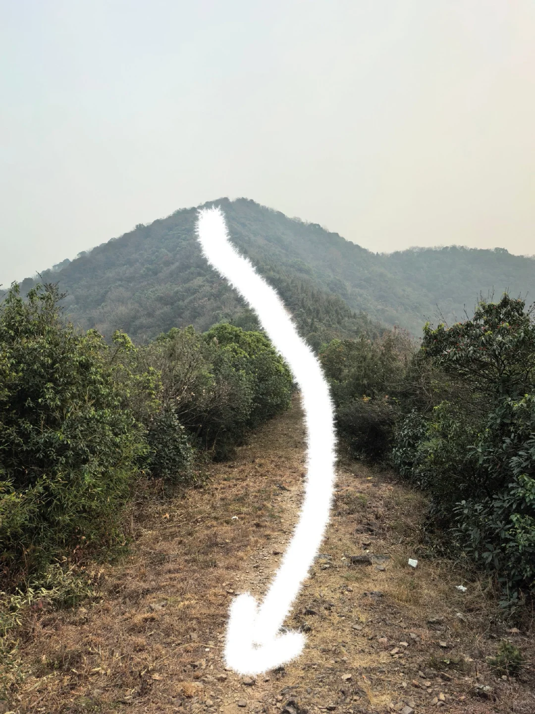 杭州周末带狗徒步—半山小环线