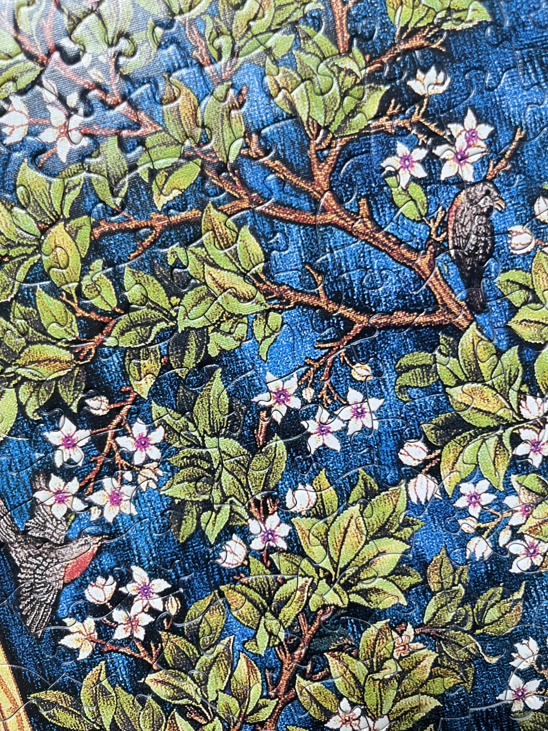 玖拾陆 没想到是异形😊