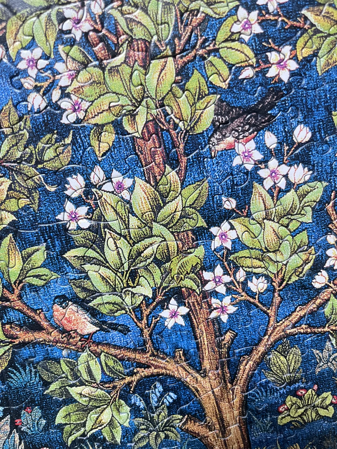 玖拾陆 没想到是异形😊