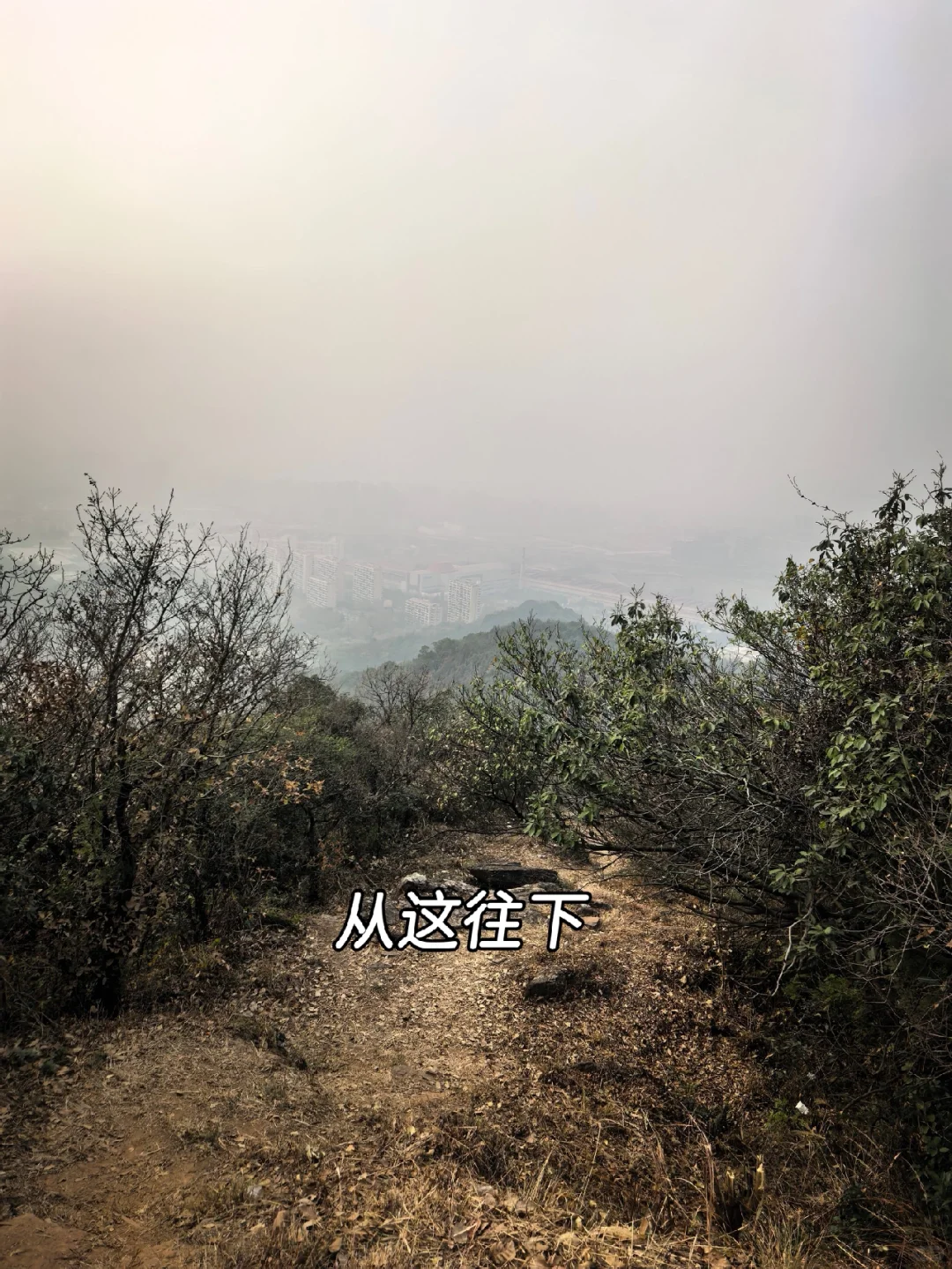 杭州周末带狗徒步—半山小环线