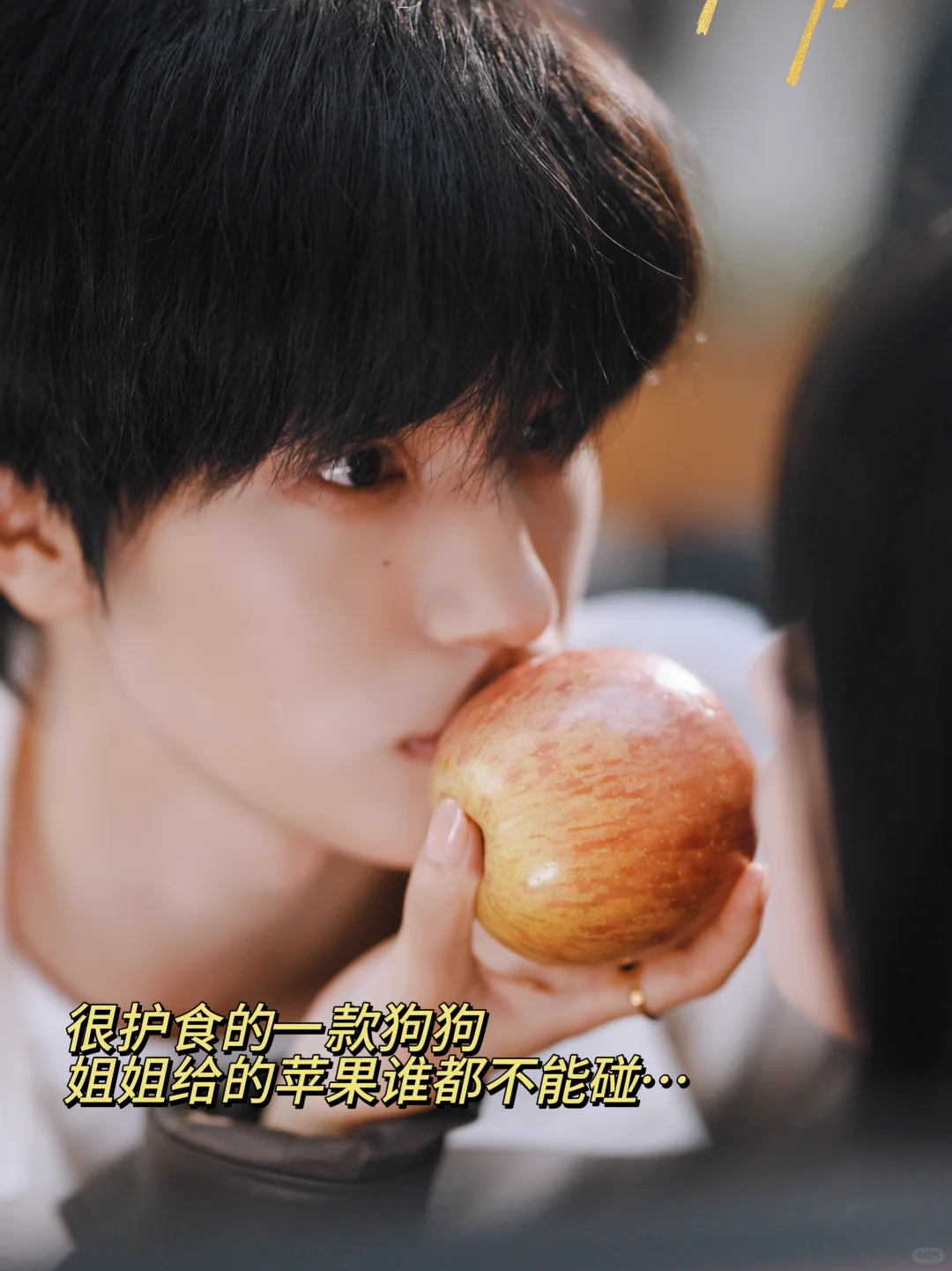 设定萌薯我了🥹男主在姐姐面前自动变狗!!