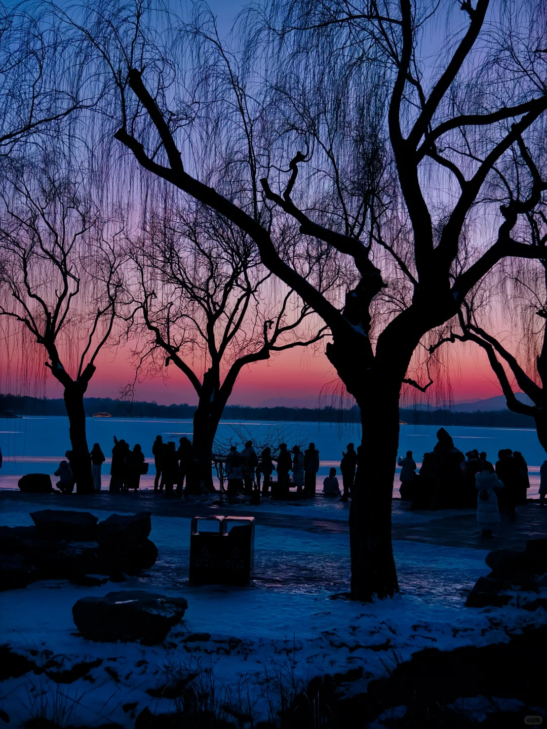 冬日颐和园蓝调时刻,是昼与夜最诗意的过渡