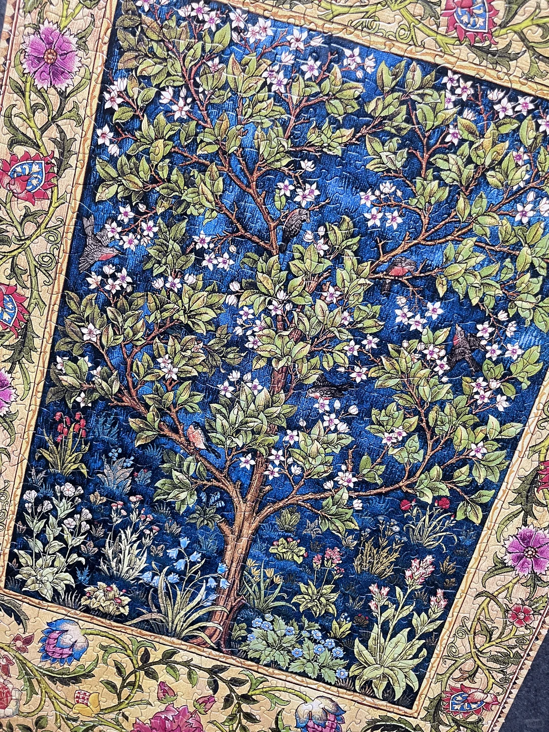 玖拾陆 没想到是异形😊