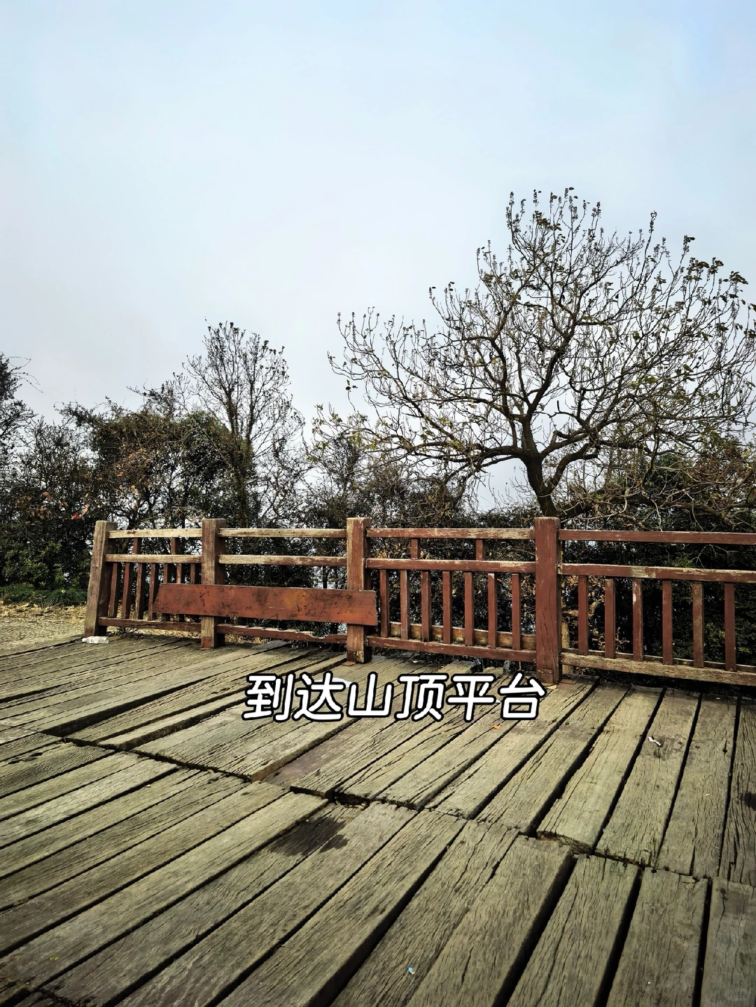 杭州周末带狗徒步—半山小环线