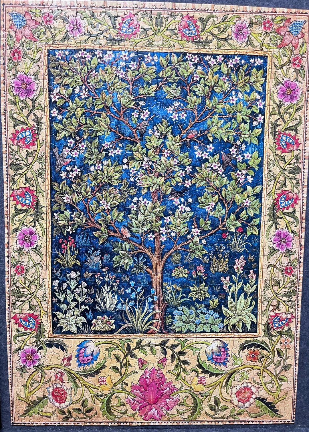 玖拾陆 没想到是异形😊