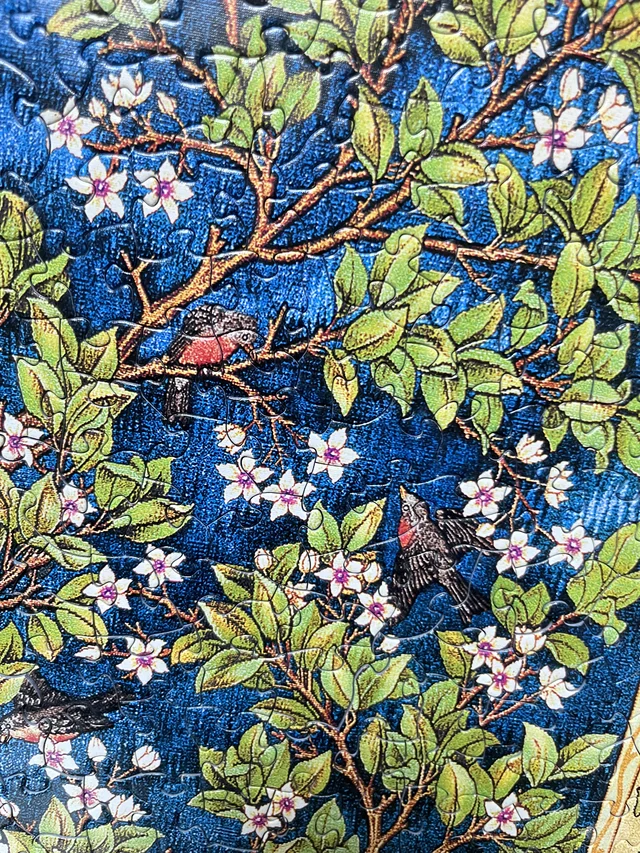 玖拾陆 没想到是异形😊