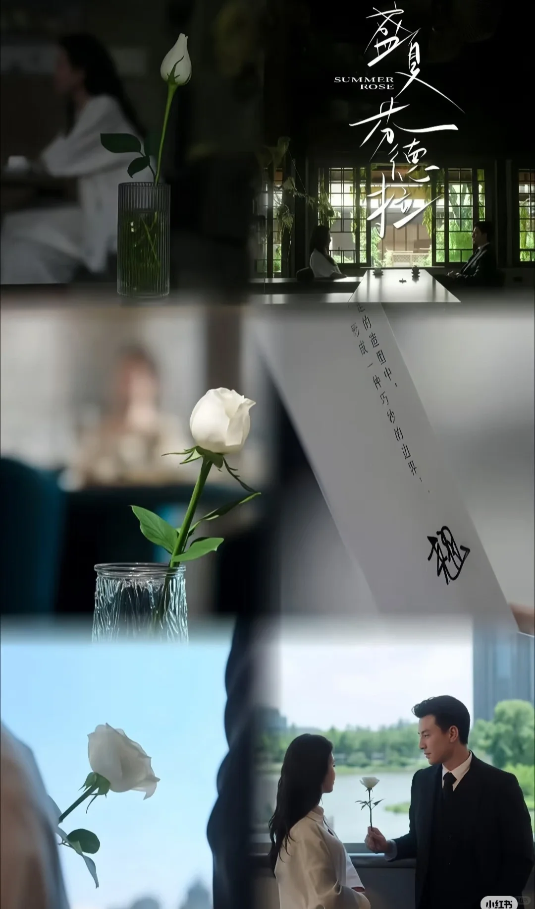 盛夏芬德拉🌟刘萧旭、郭宇欣精品短剧推荐