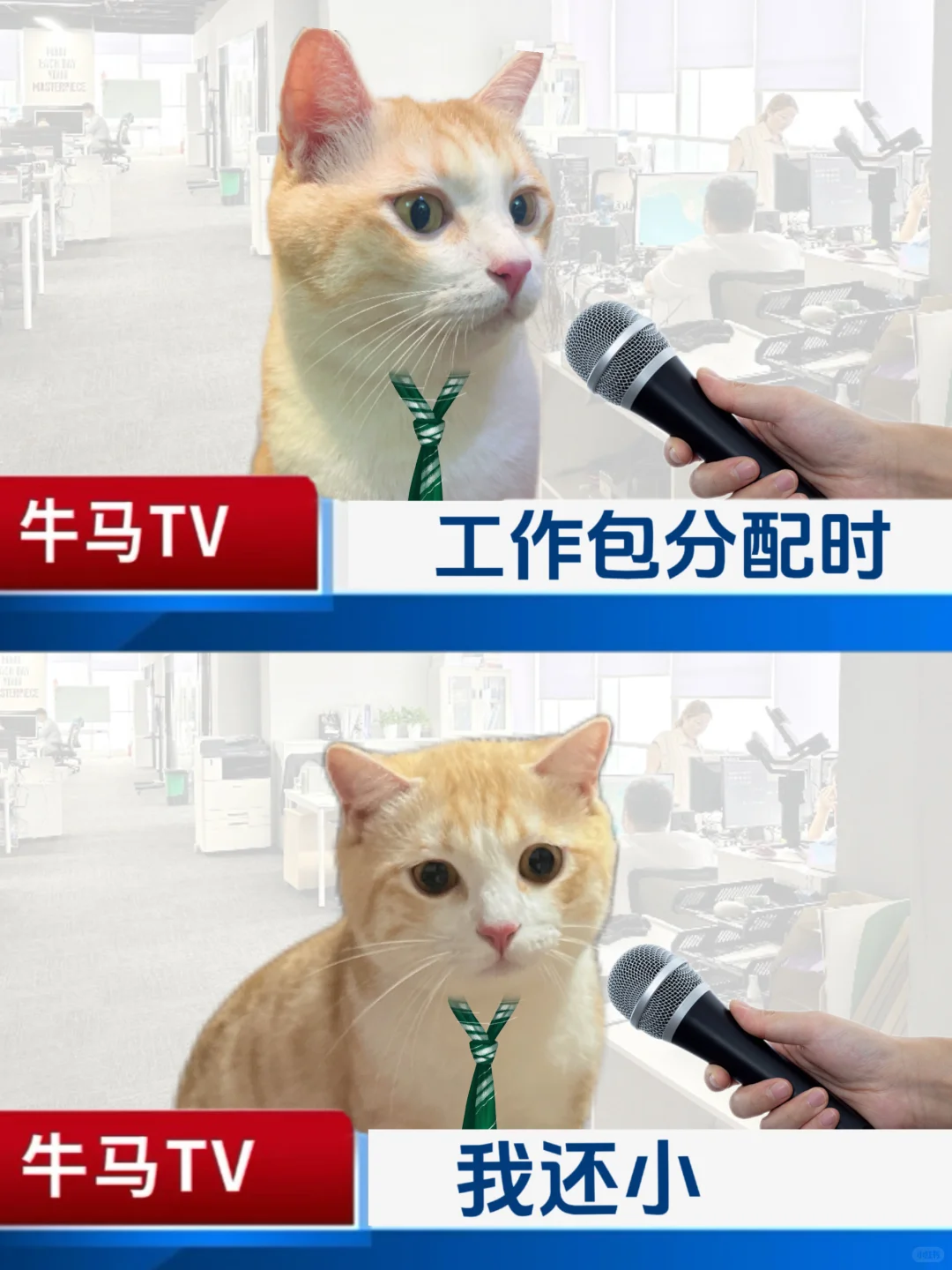 8090如履薄冰的一生