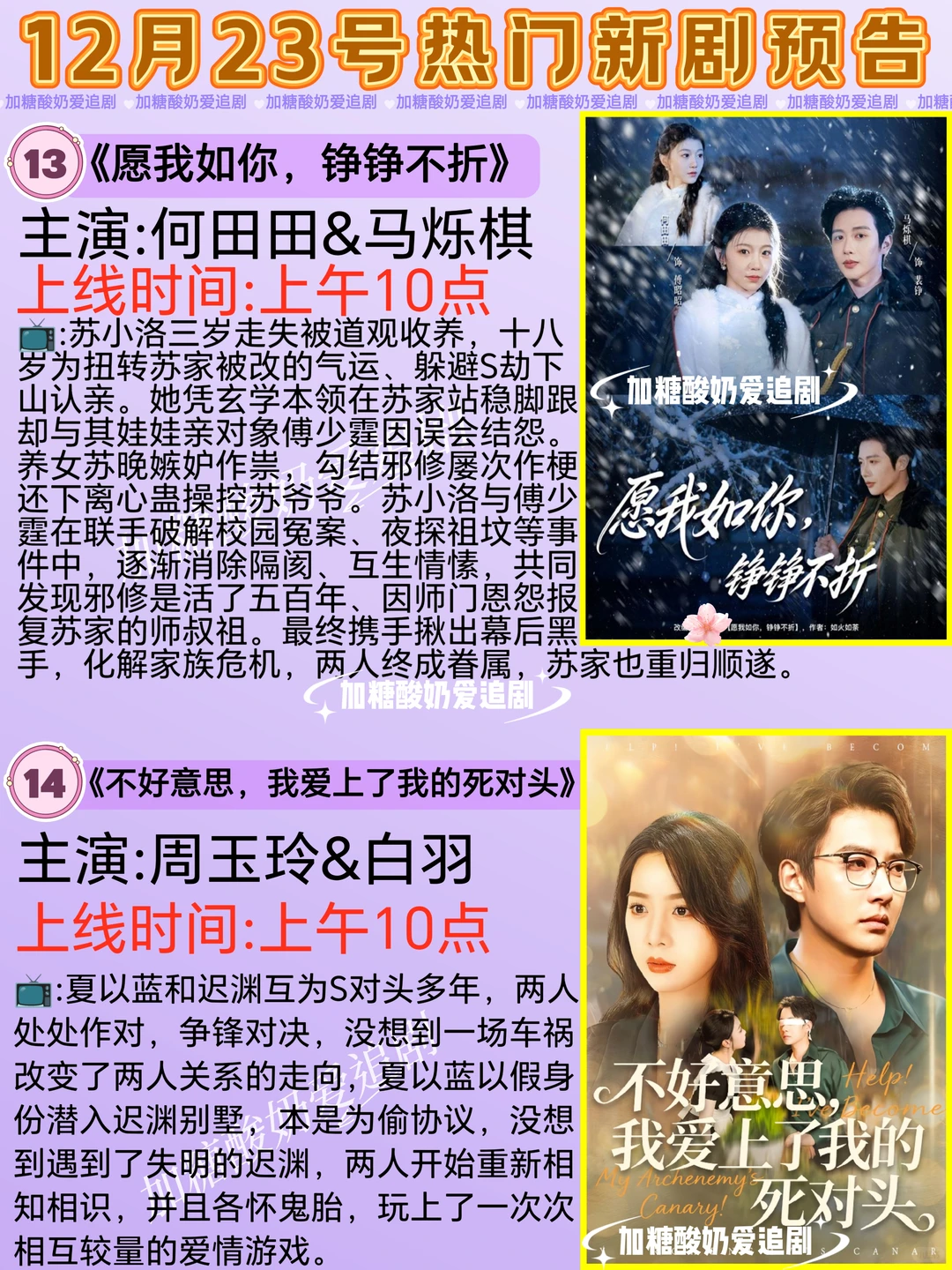 天花板短剧💥12月23日热门短剧预告