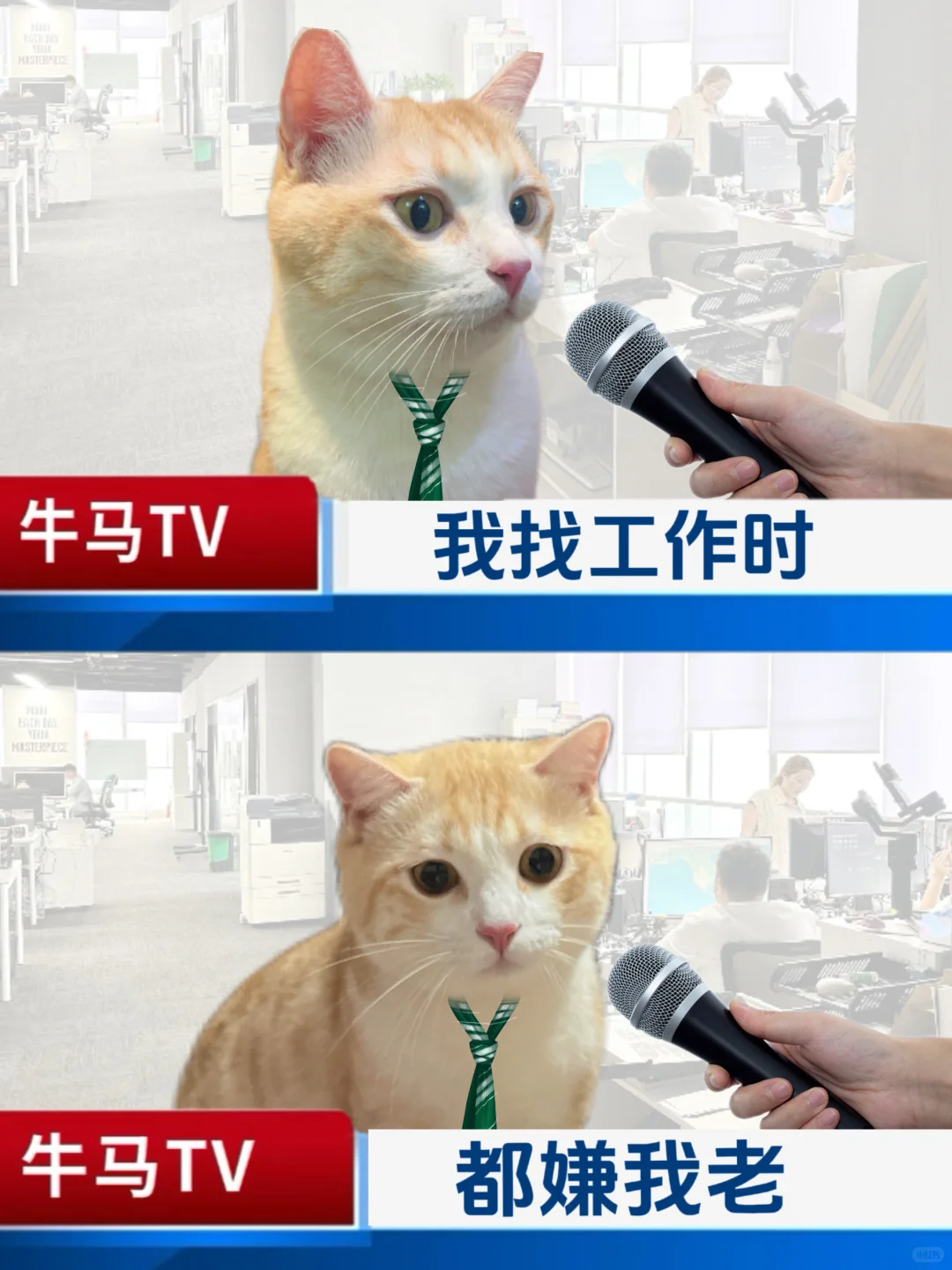 8090如履薄冰的一生