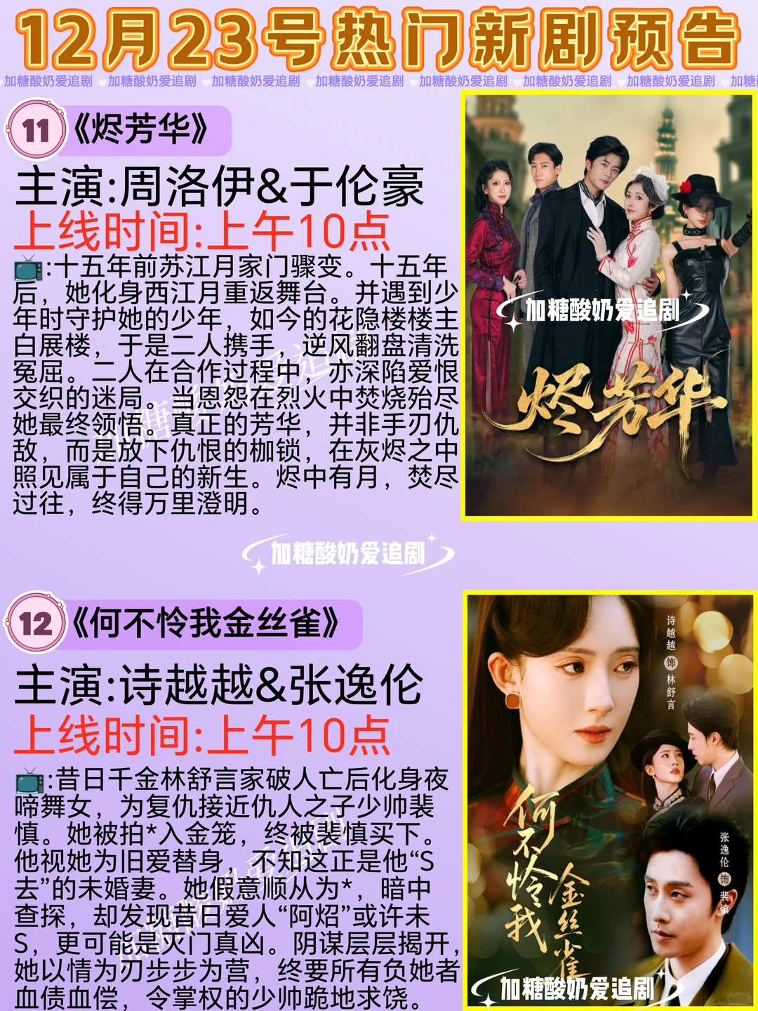 天花板短剧💥12月23日热门短剧预告