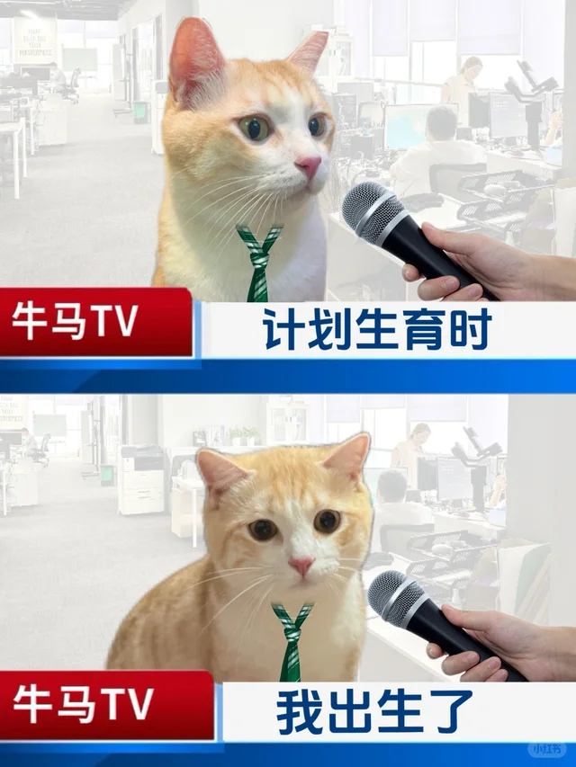 8090如履薄冰的一生