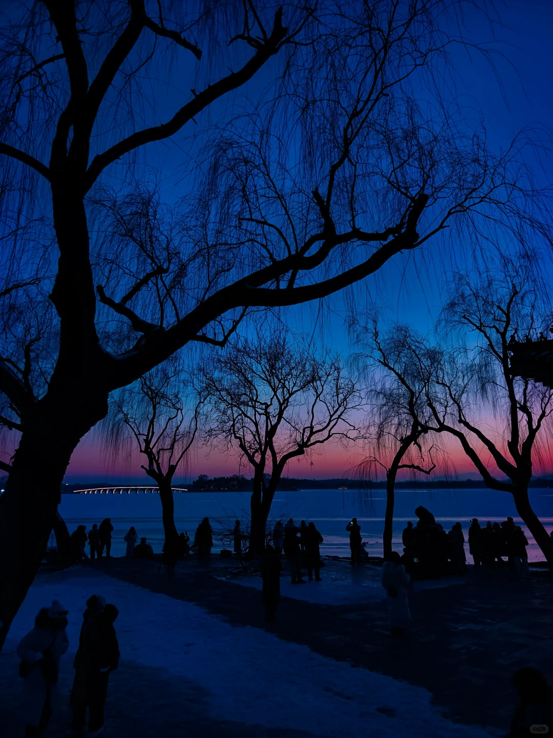 冬日颐和园蓝调时刻,是昼与夜最诗意的过渡