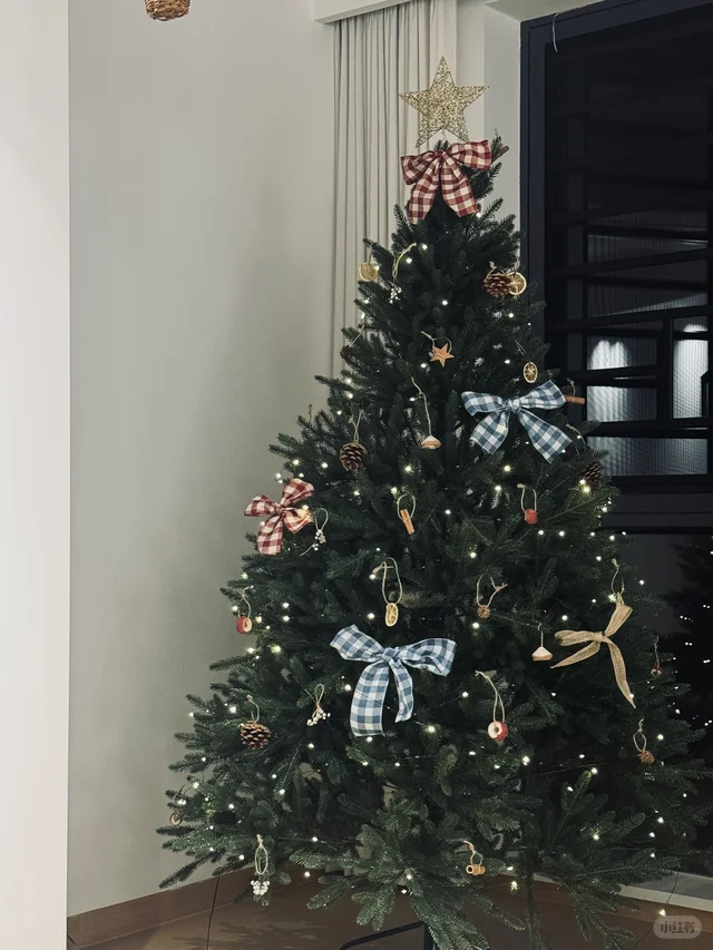 属于我的小圣诞树🎄