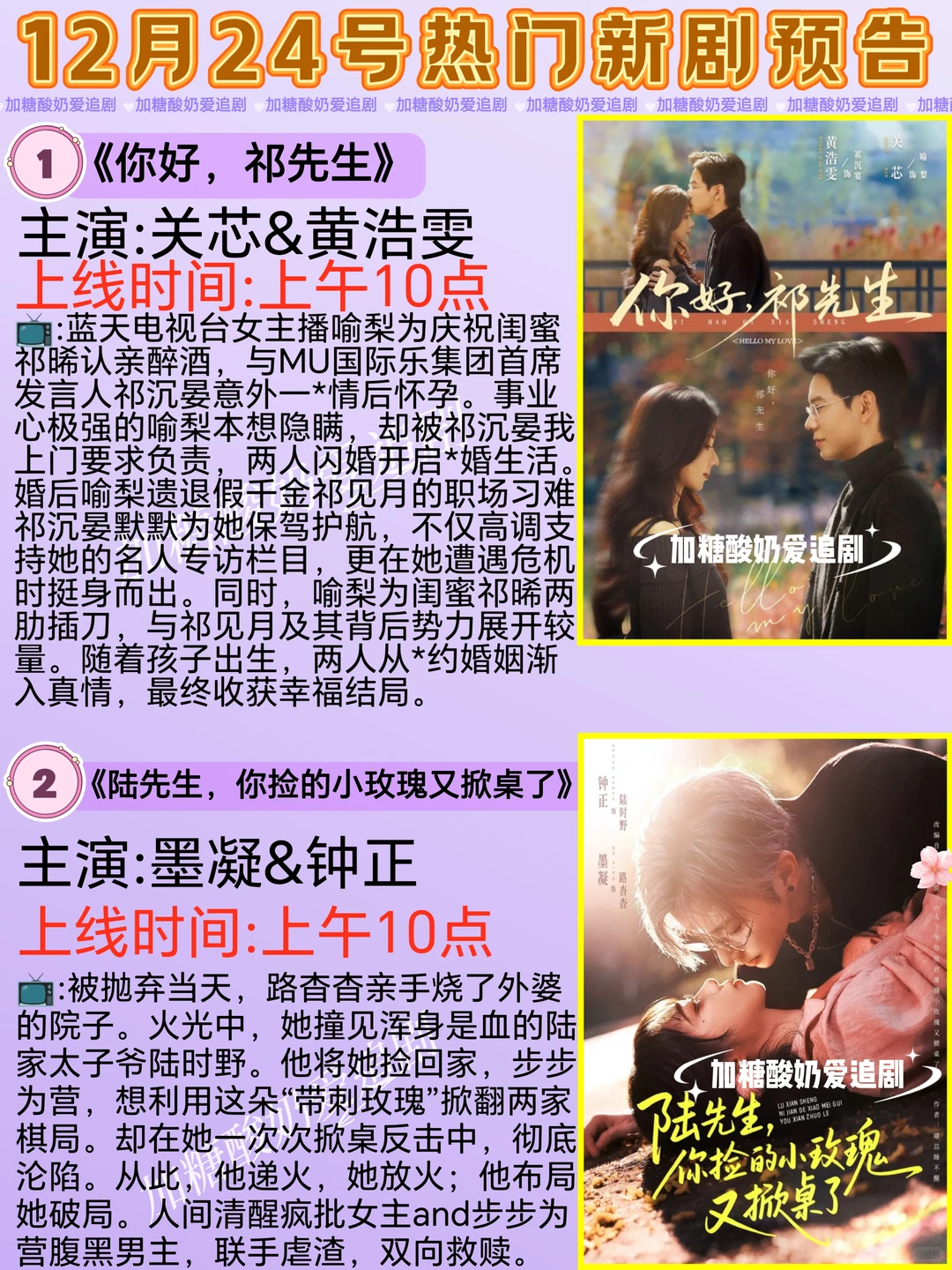 天花板短剧💥12月24日热门短剧预告