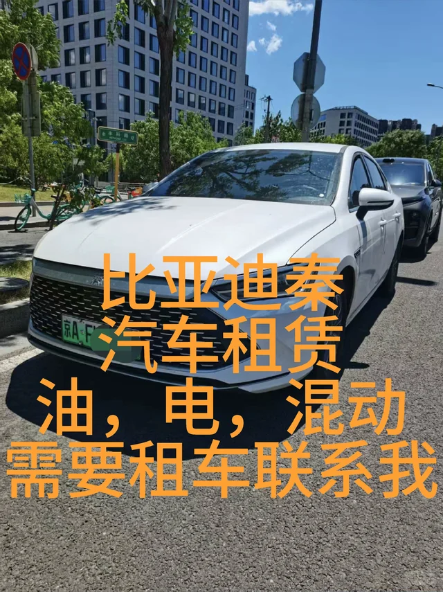 汽车租赁，雷凌，卡罗拉，比亚迪秦，价格低，想跑车的找我。汽车租赁网约车北京同城比