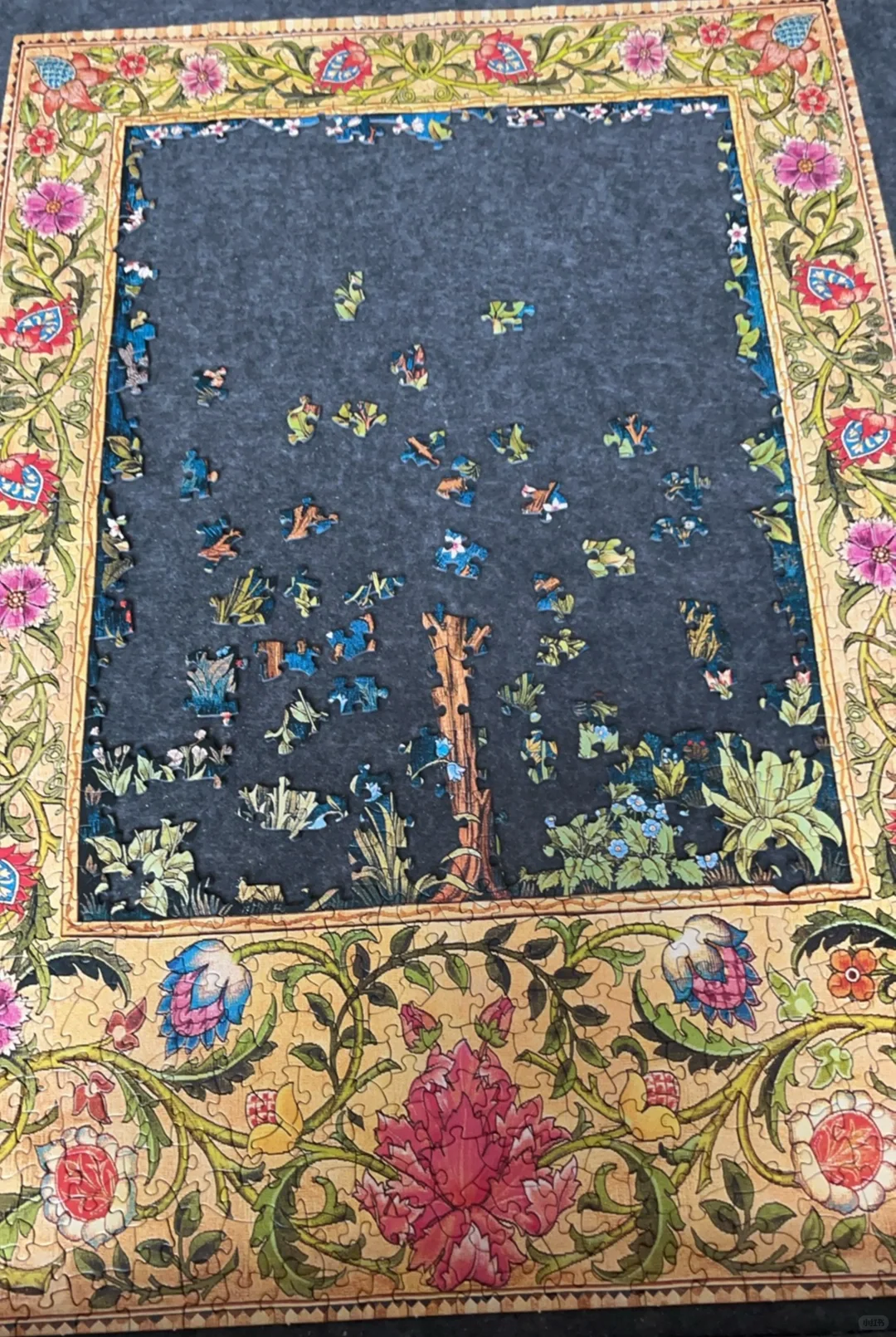 玖拾陆 没想到是异形😊