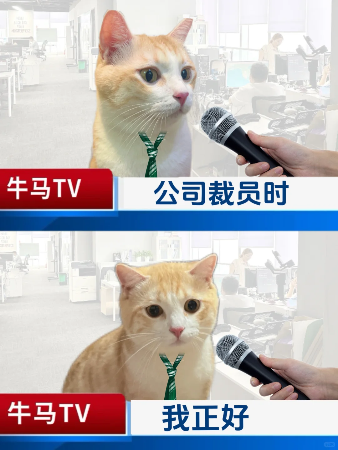 8090如履薄冰的一生