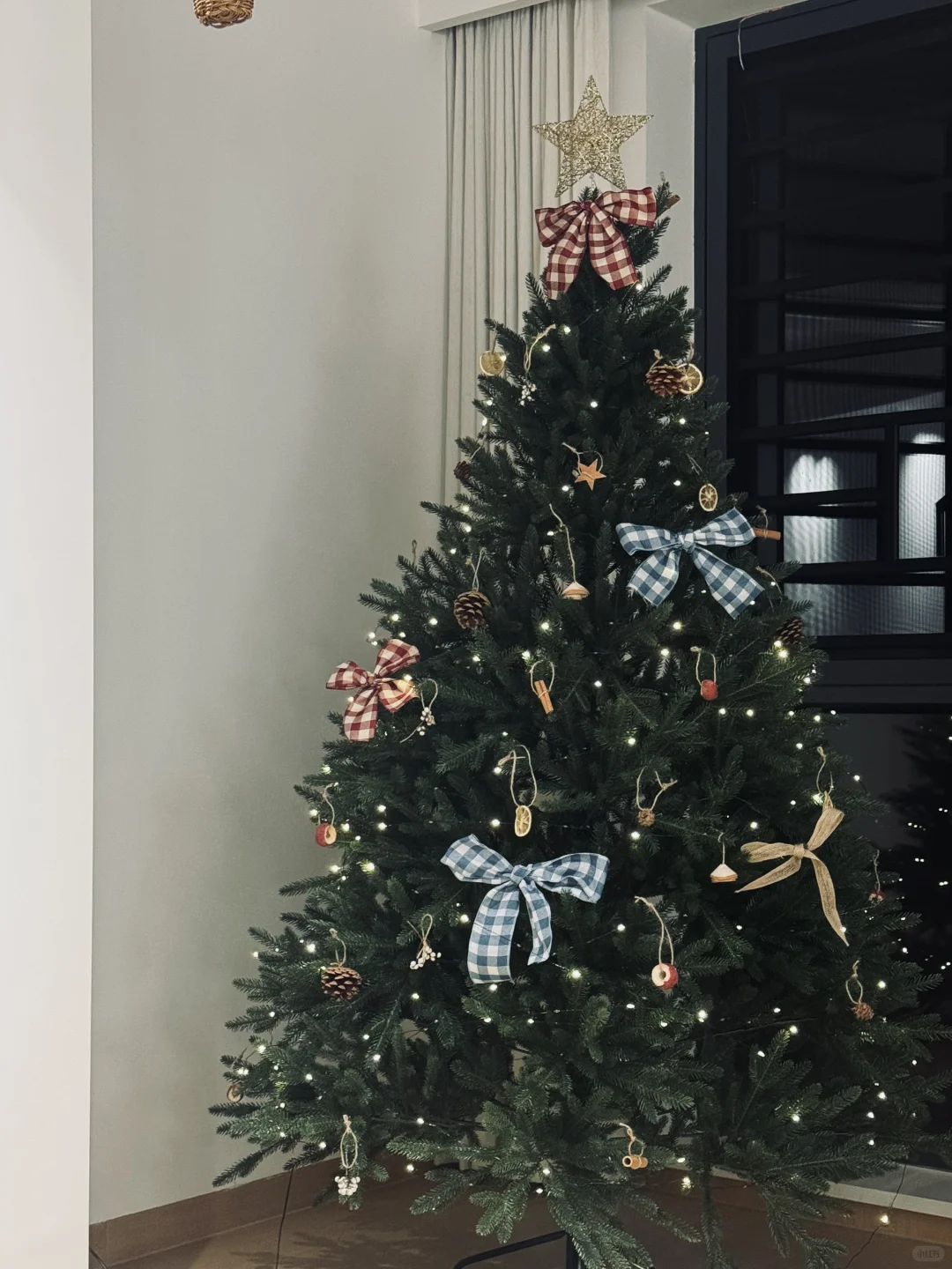 属于我的小圣诞树🎄