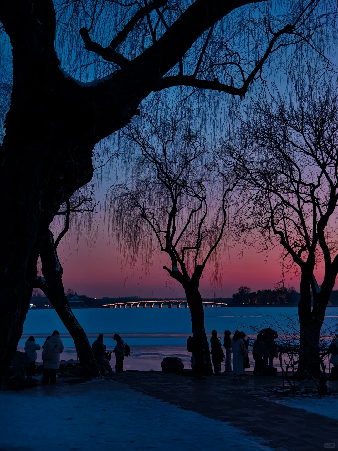 冬日颐和园蓝调时刻,是昼与夜最诗意的过渡