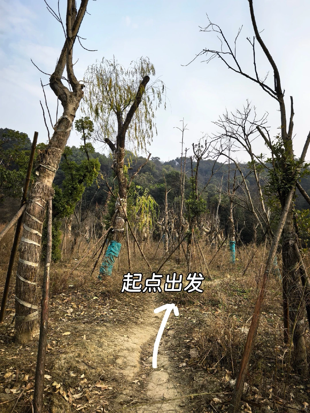 杭州周末带狗徒步—半山小环线