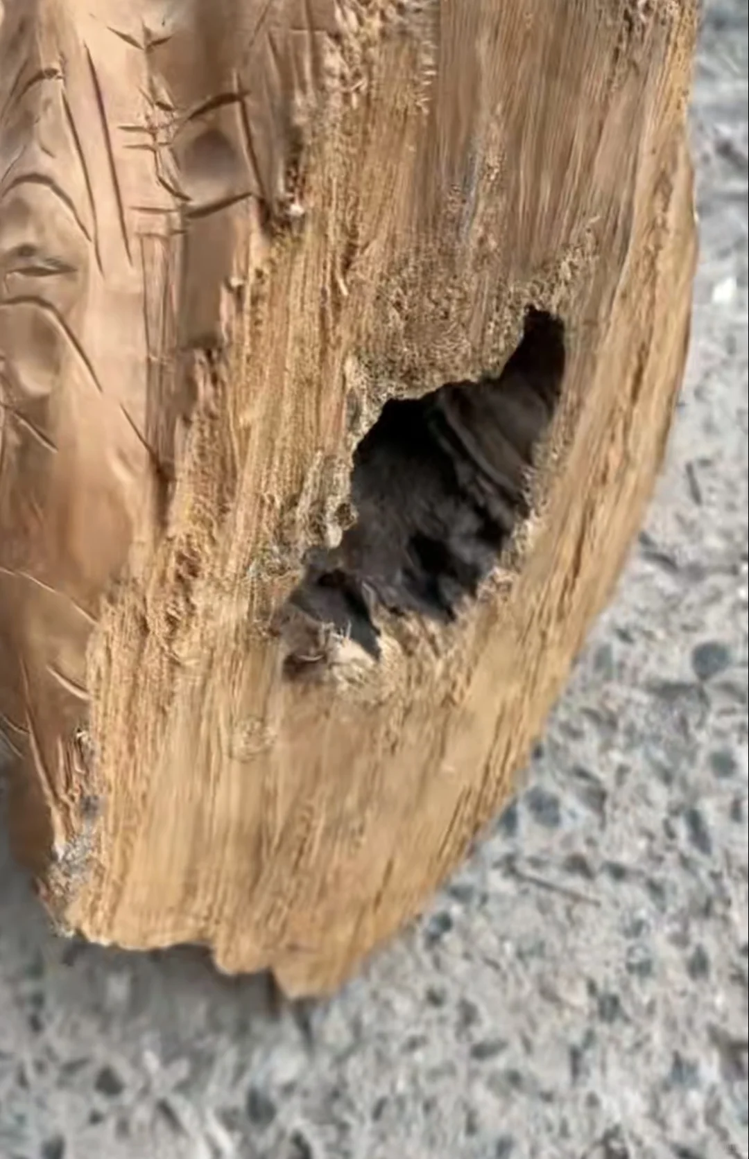 现在看材料对于新手来说太难了