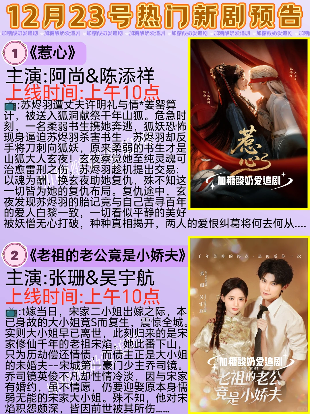 天花板短剧💥12月23日热门短剧预告