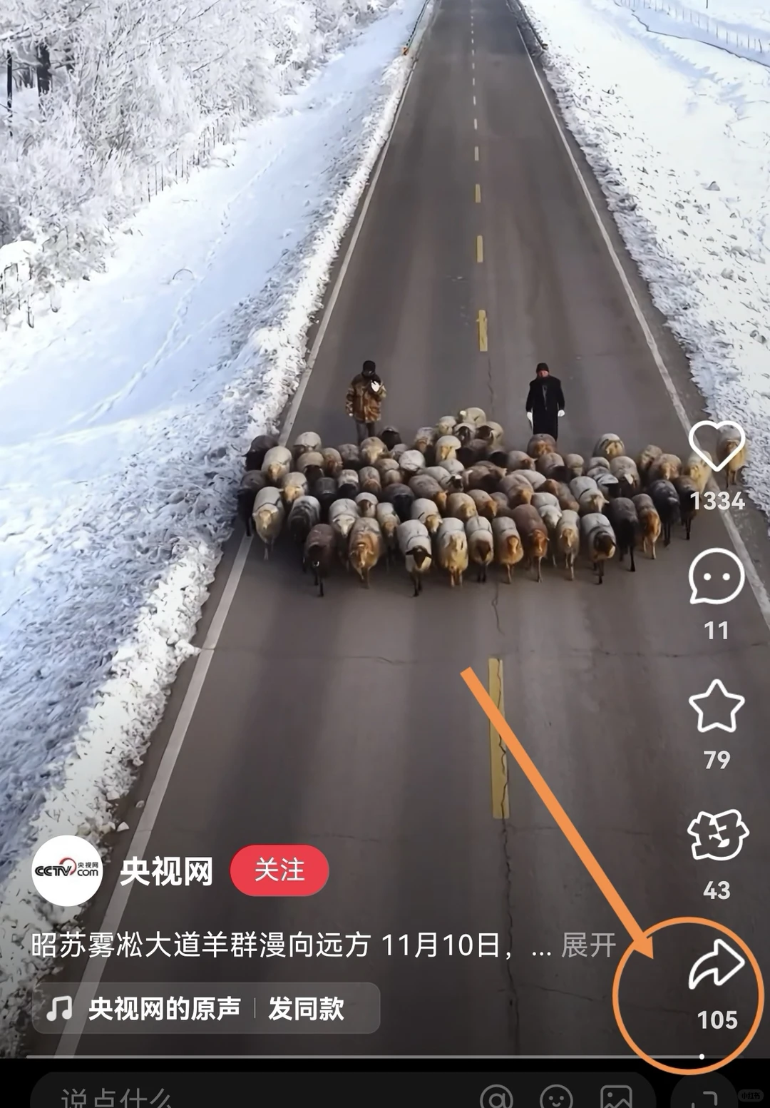 在小红书免费下载想要的视频