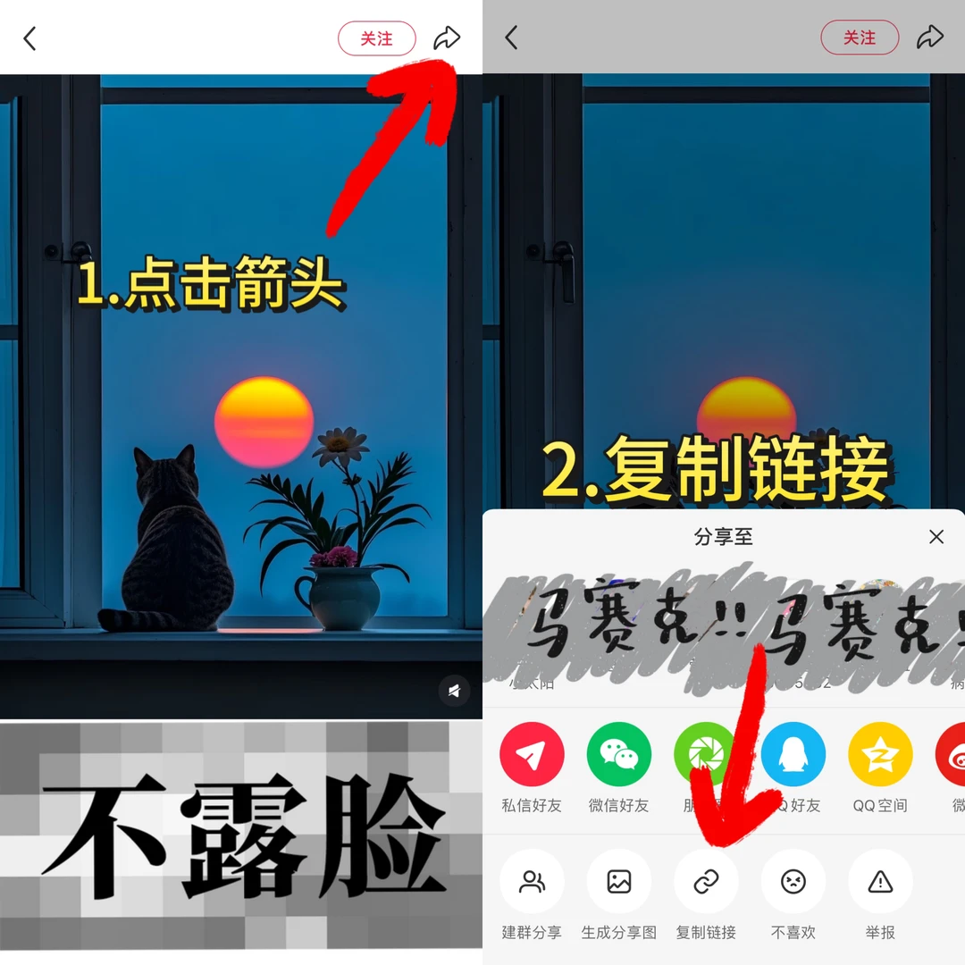 小红书视频怎么下载